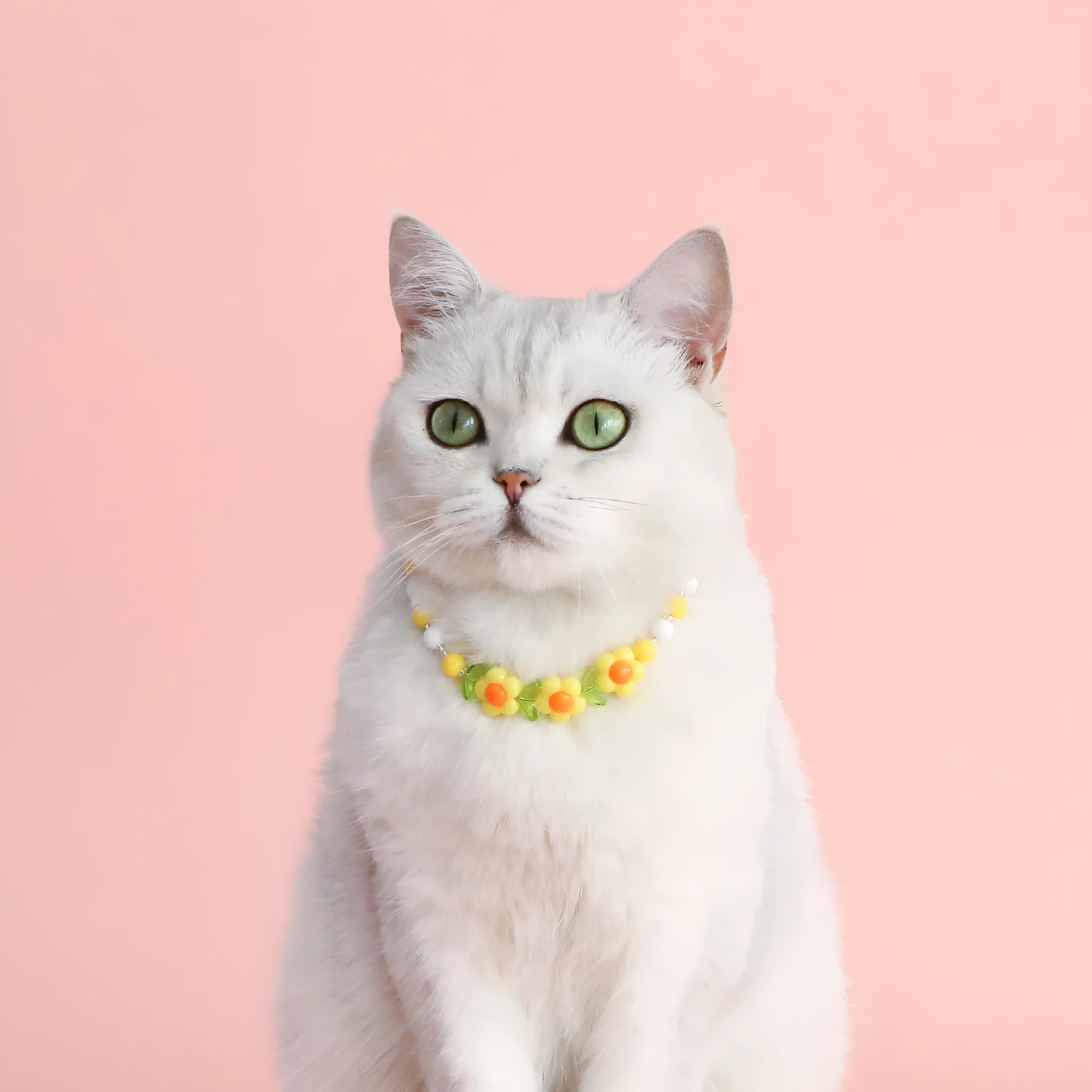Colourful plastic pearl pet necklace with flower beads for cats and small dogs