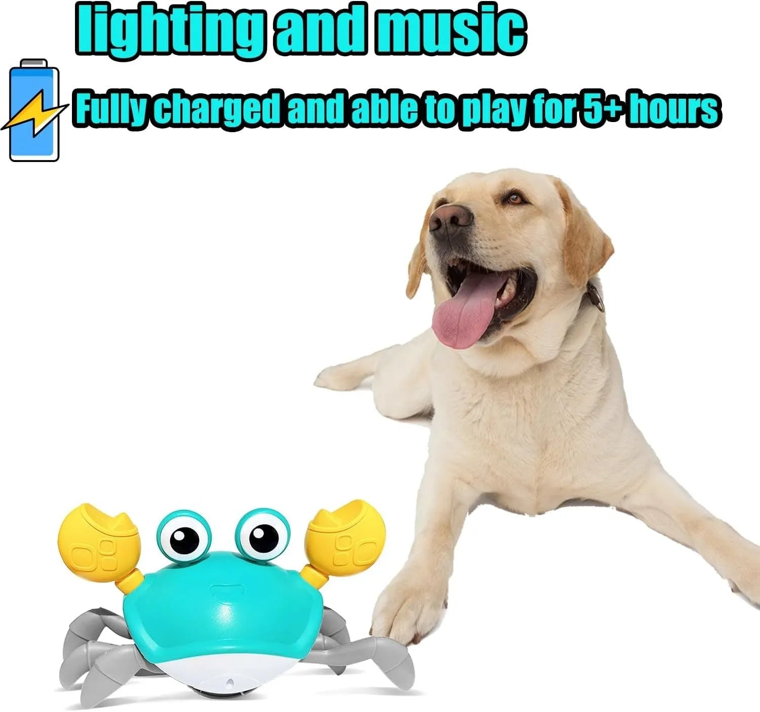 Blue and red crawling crab dog toy with lights, shown next to a charging cable.