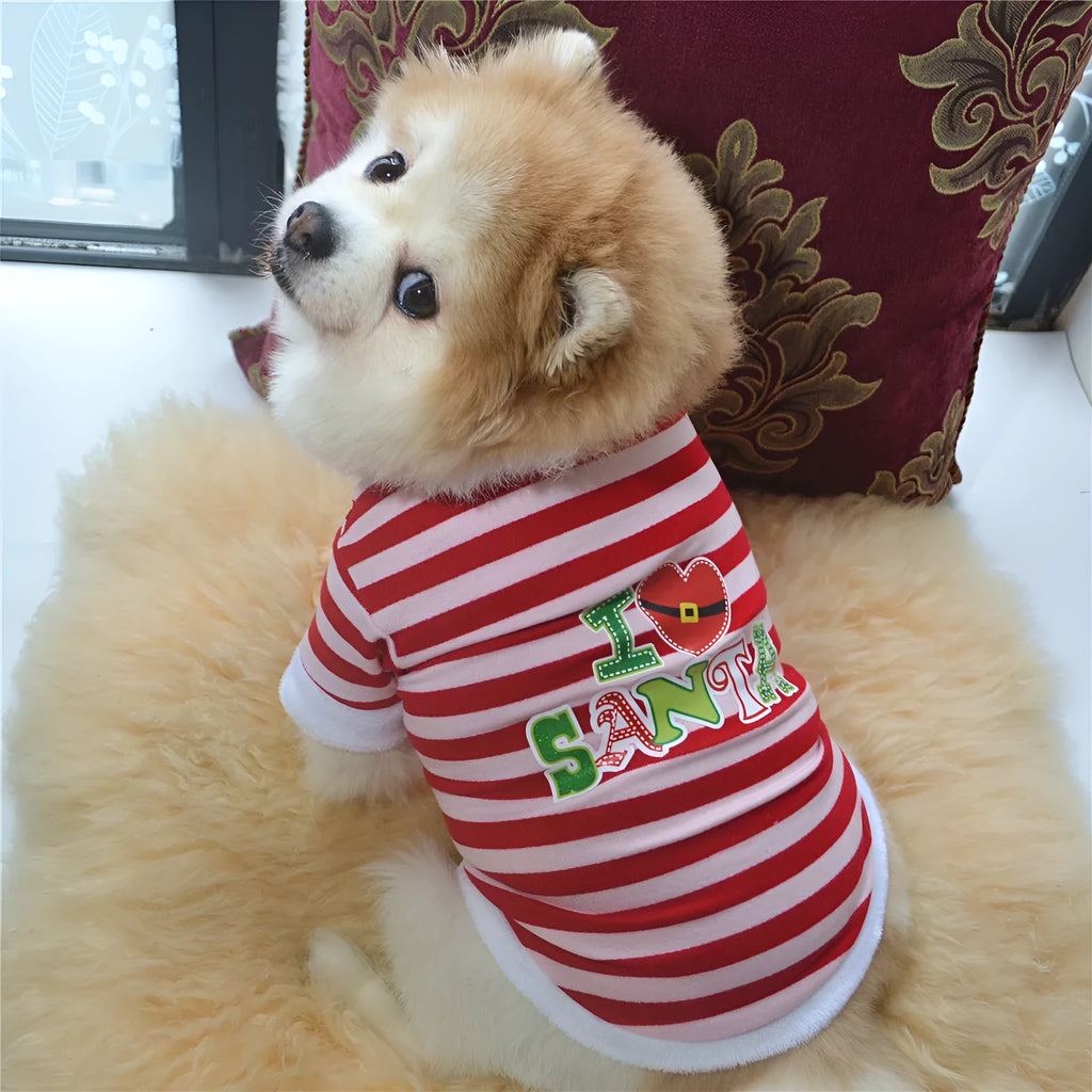 Christmas dog outfit with hairy border trim in cotton terry sweater fabric on a small dog red colour option