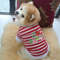 Christmas dog outfit with hairy border trim in cotton terry sweater fabric on a small dog red colour option