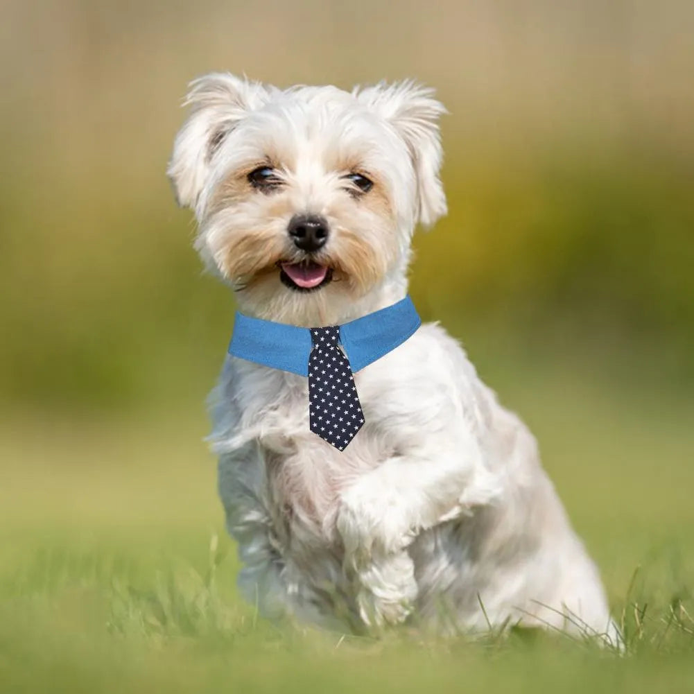 Denim dog collar with star pattern design showing adjustable fastener tape and bow/tie style options