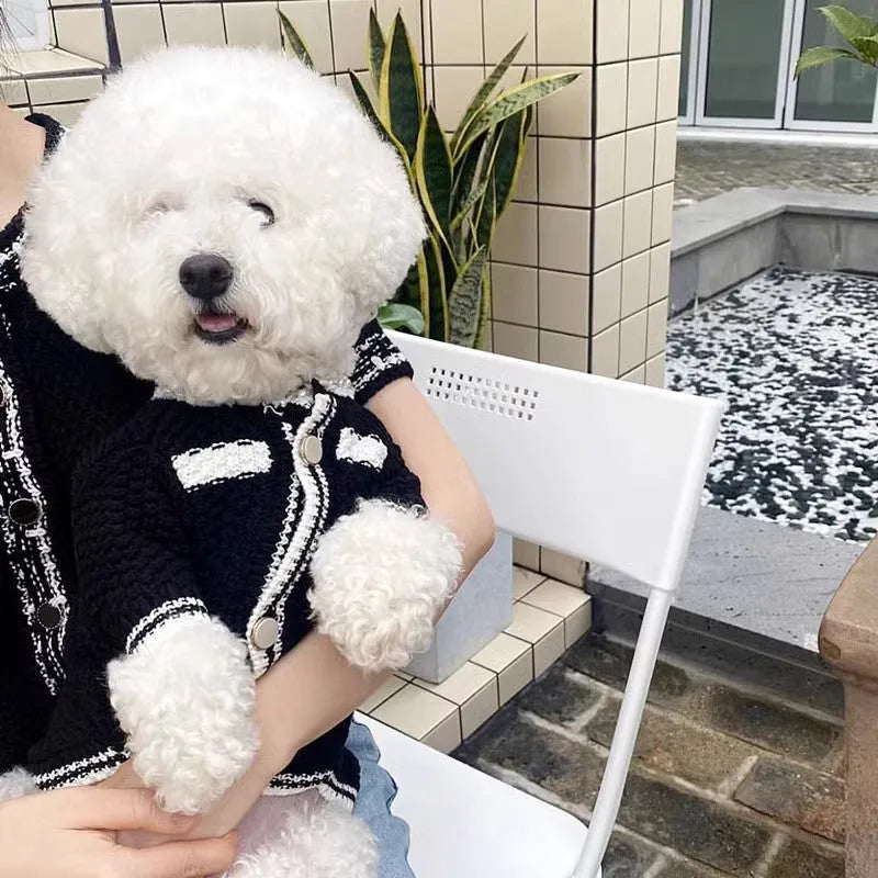 Korean style white puppy sweater with pearl collar for small dogs