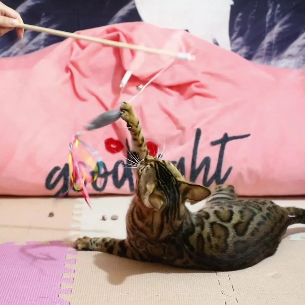 Cat wand toy with wooden handle, colourful ribbons, catnip fish, and bell attachment