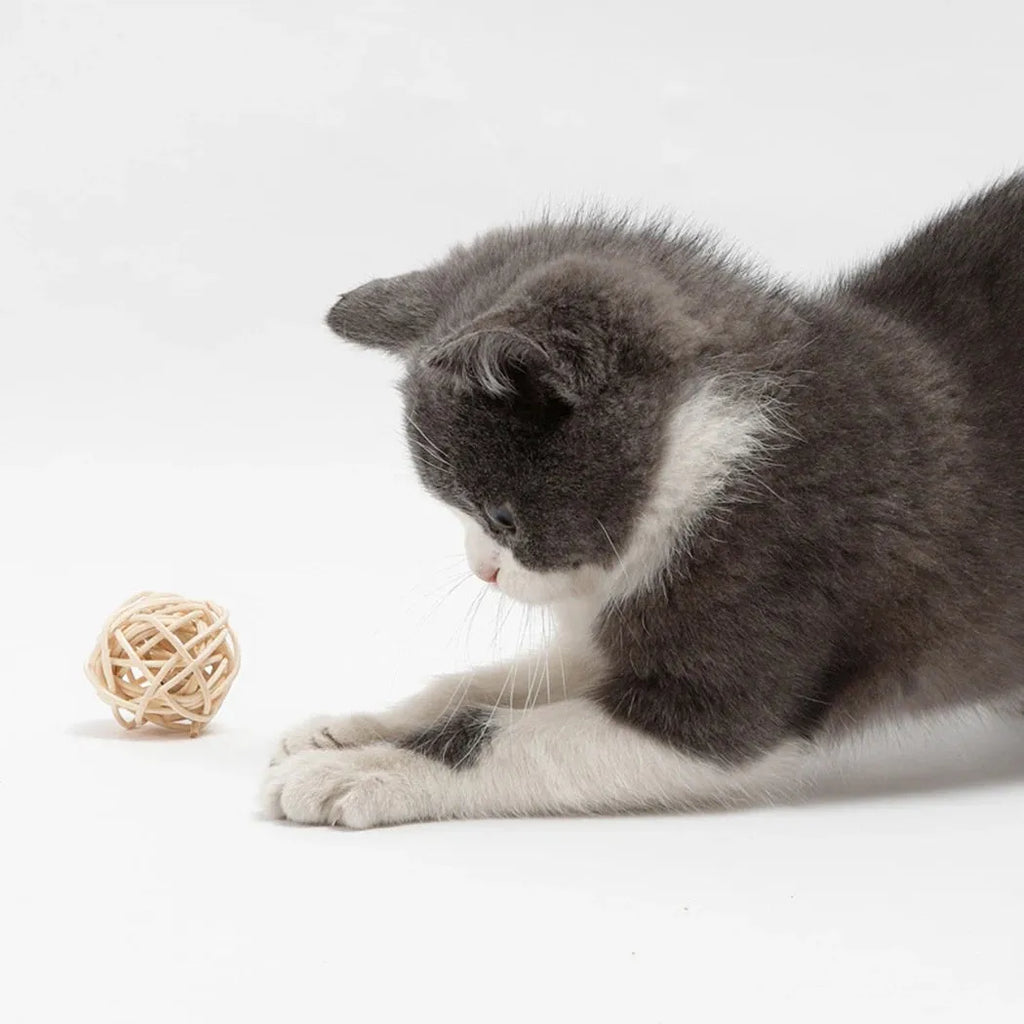Two cat toys: a hollow rattan ball and a faux feather ball on a plain background