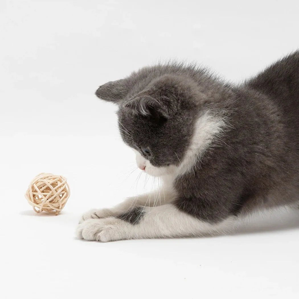 Two cat toys: a hollow rattan ball and a faux feather ball on a plain background