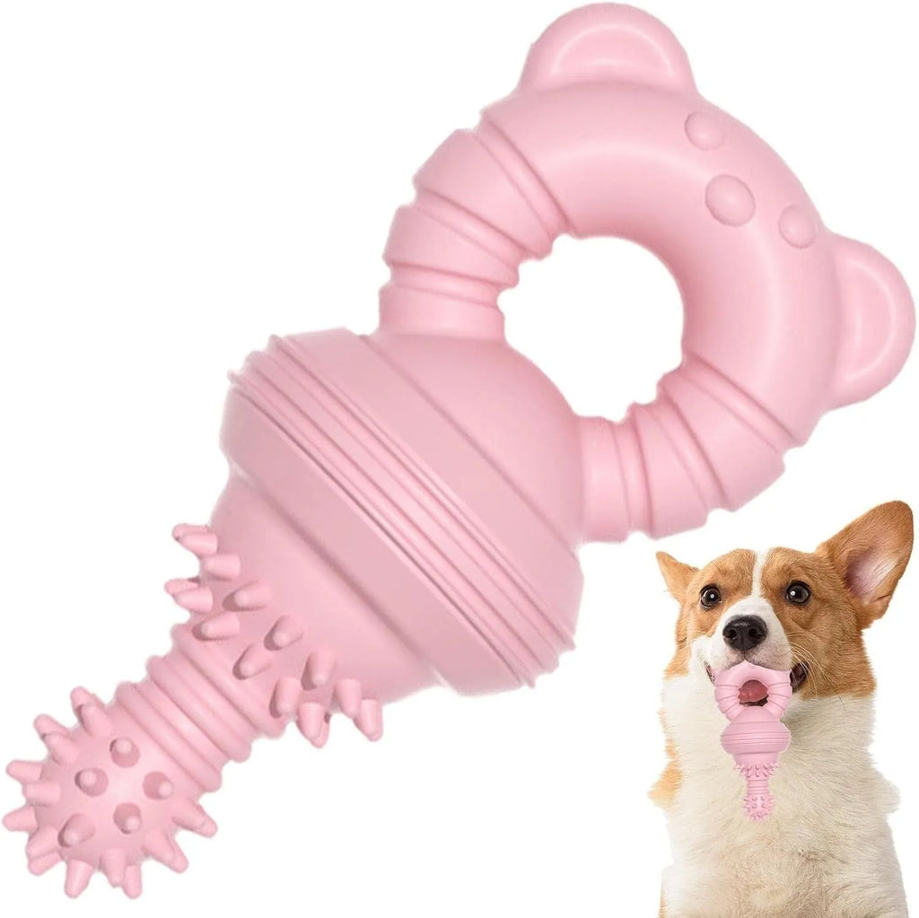 Blue molar-shaped rubber dog chew toy with textured surface for teeth cleaning