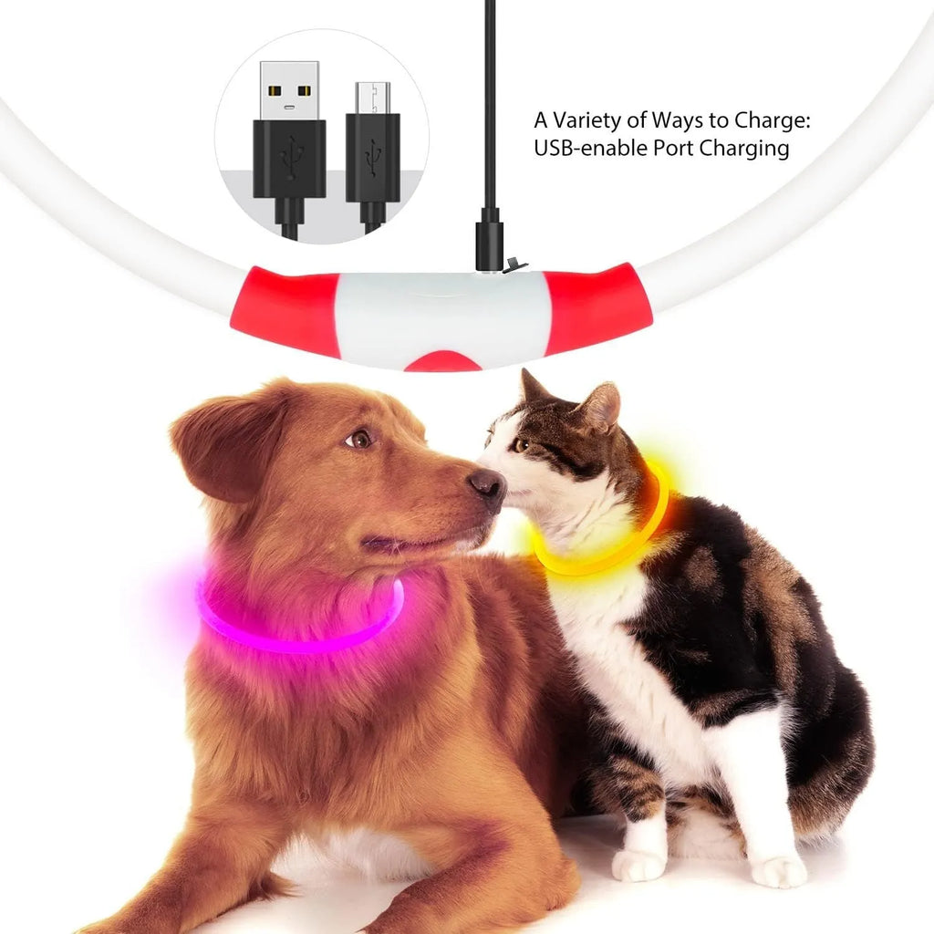 USB rechargeable LED dog collar glowing blue with adjustable TPU strap and charging cable