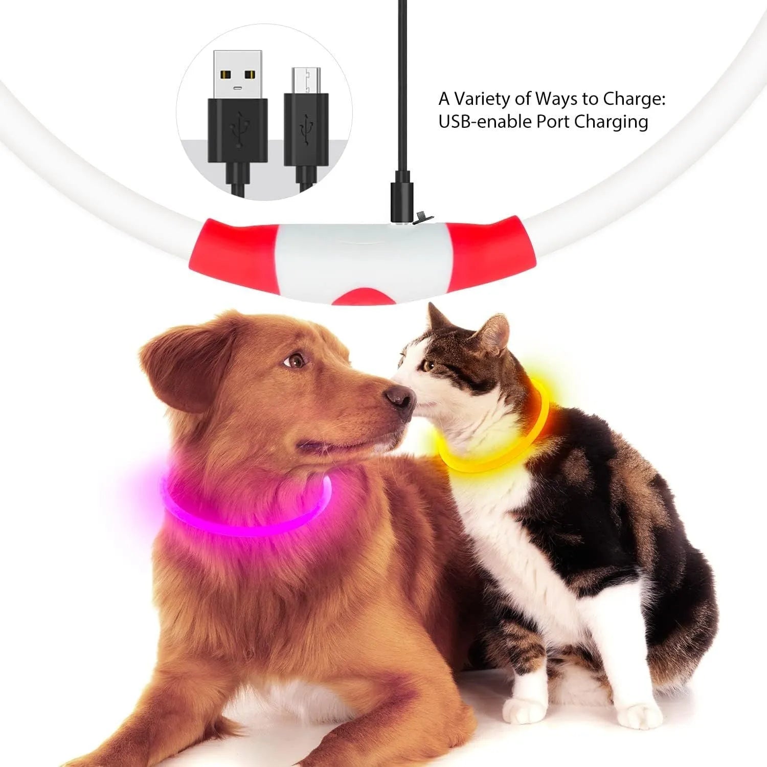 USB rechargeable LED dog collar glowing blue with adjustable TPU strap and charging cable
