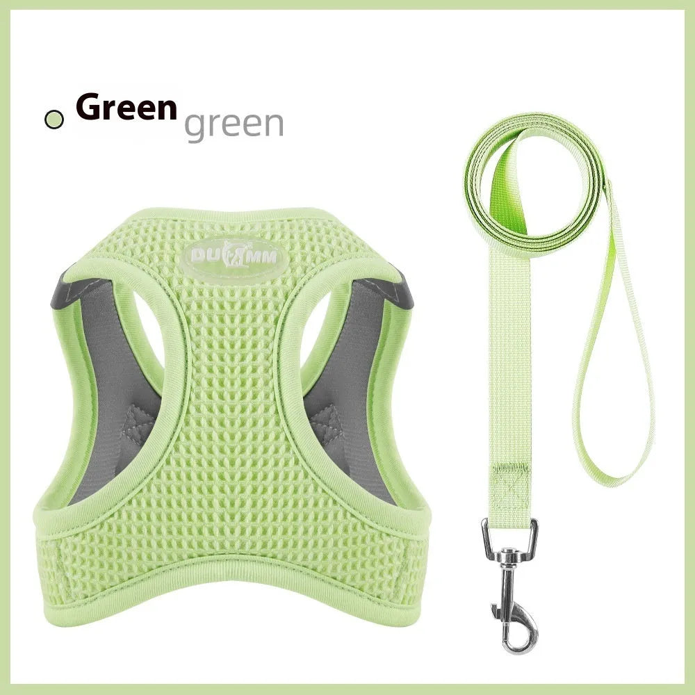 Brown cloth cat harness with integrated chest strap and leash for small cats.
