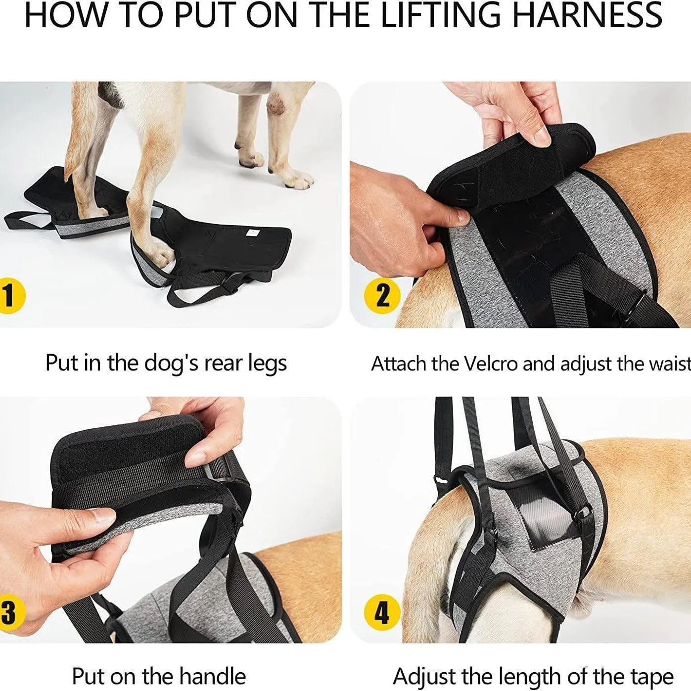 Grey neoprene dog rear leg recovery support belt shown with size chart.