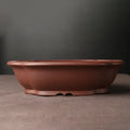 Handmade purple clay bonsai basin with classical Chinese design measuring 25cm long by 20cm wide