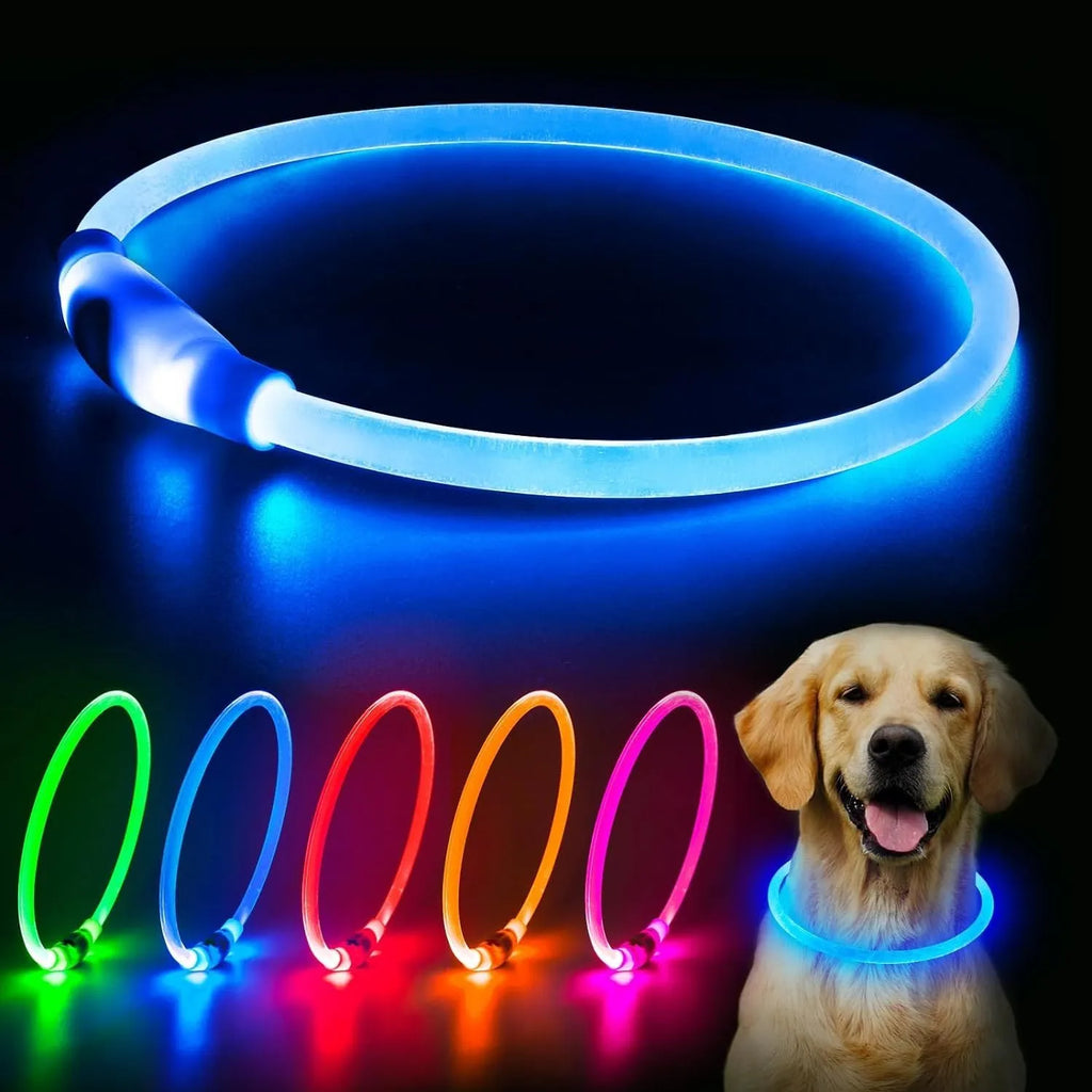 USB rechargeable LED dog collar glowing blue with adjustable TPU strap and charging cable