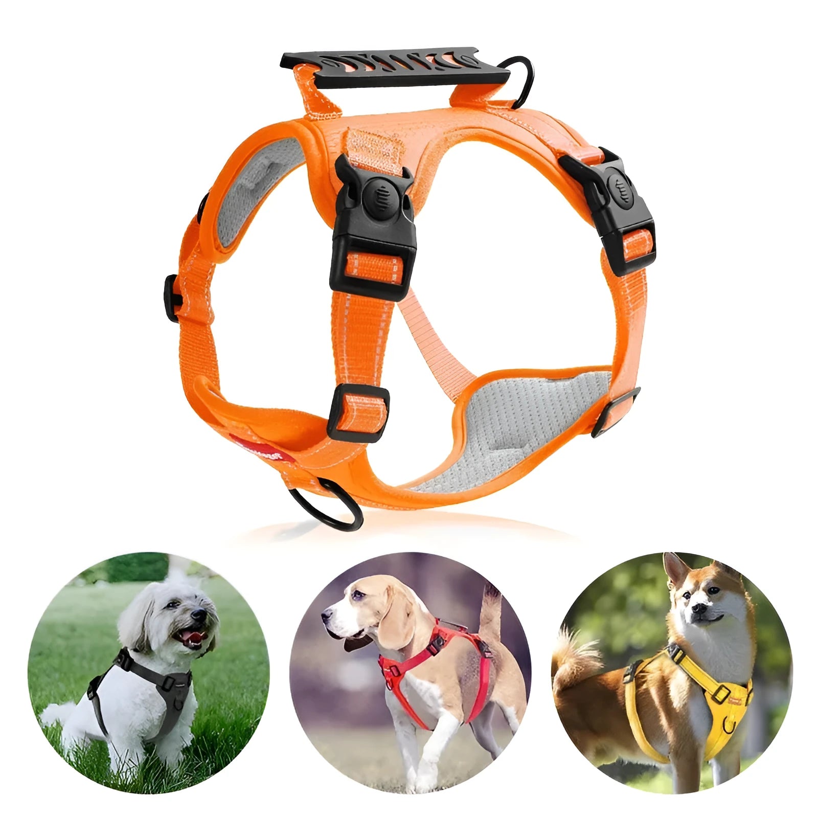 Adjustable polyester dog chest harness and lead in assorted colours on a white background