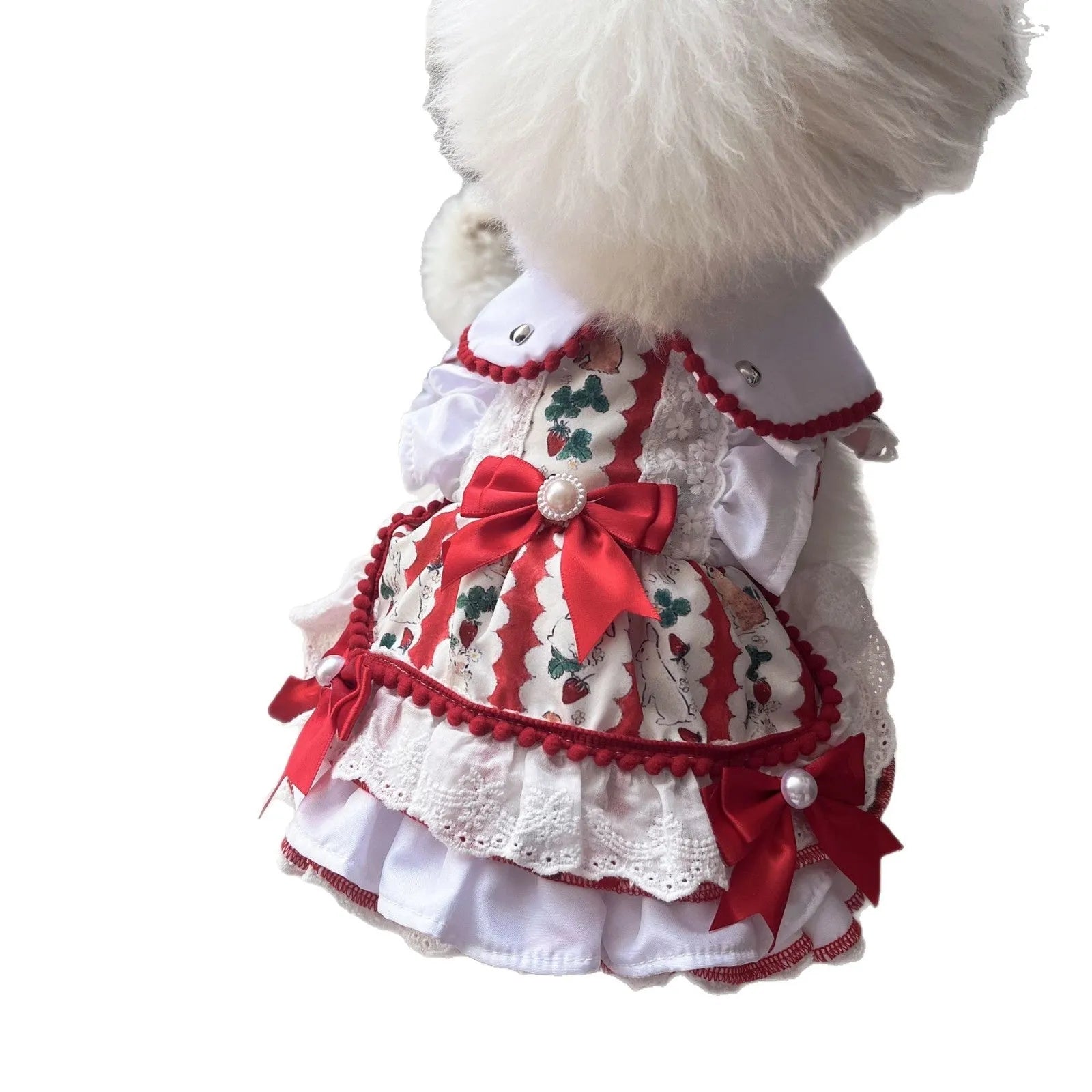 Rabbit skirt pattern princess style dog dress on a small dog, showing the fit and design.
