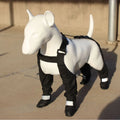 A set of four black waterproof dog shoes with non-slip soles for paw protection.