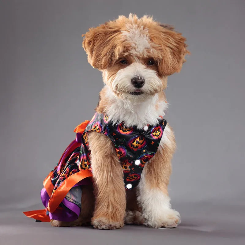 Halloween dog skirt with colourful pumpkin print for medium-sized dogs