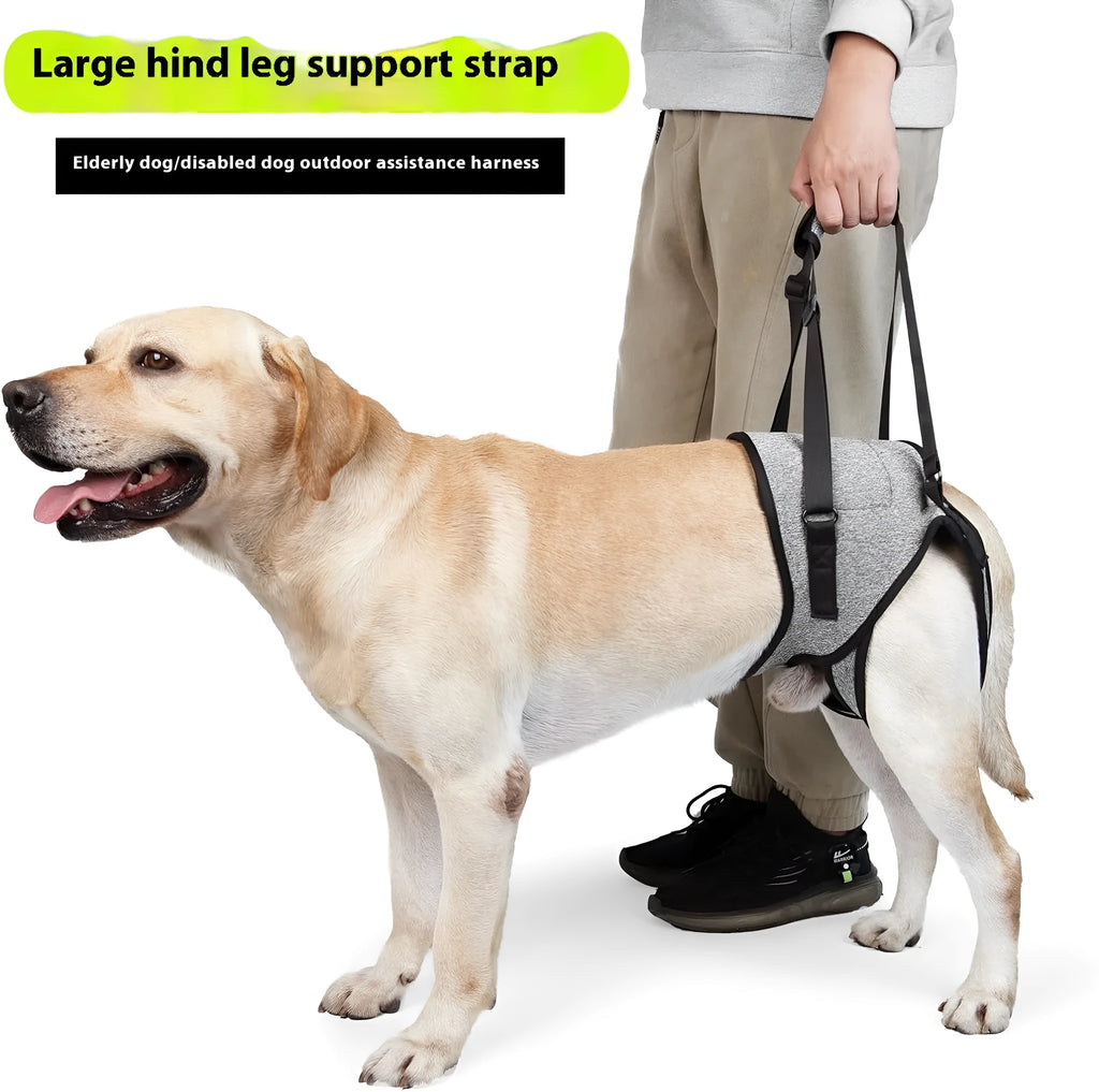 Grey neoprene dog rear leg recovery support belt shown with size chart.