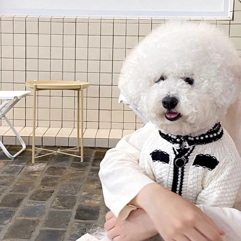 Korean style white puppy sweater with pearl collar for small dogs