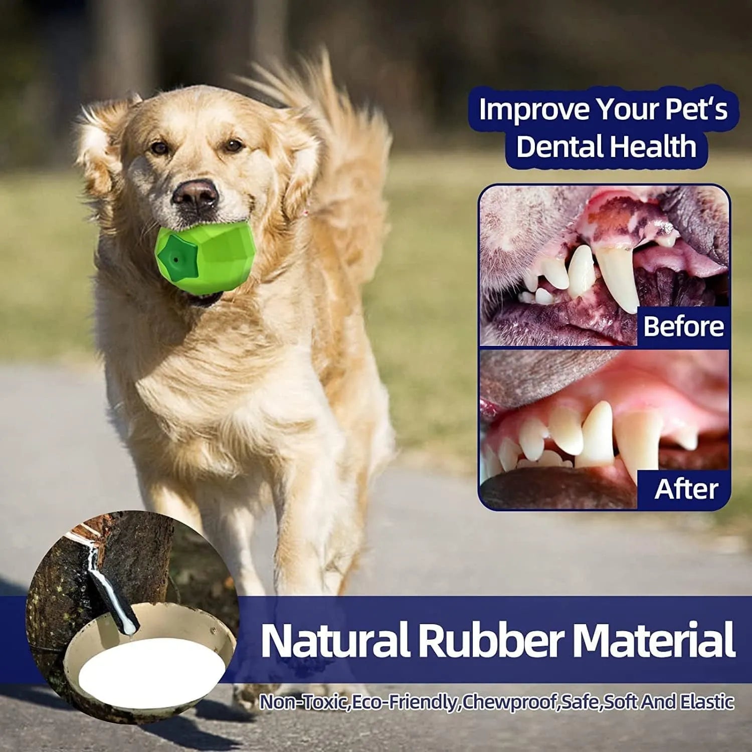 Green natural rubber dog chew ball with squeaker for large breed aggressive chewers