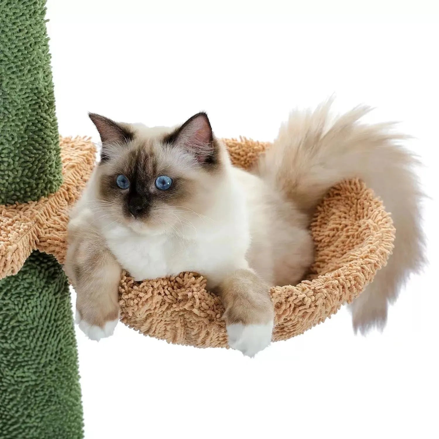 Solid wood cat climbing frame with integrated scratch board measuring TT40x25x240cm