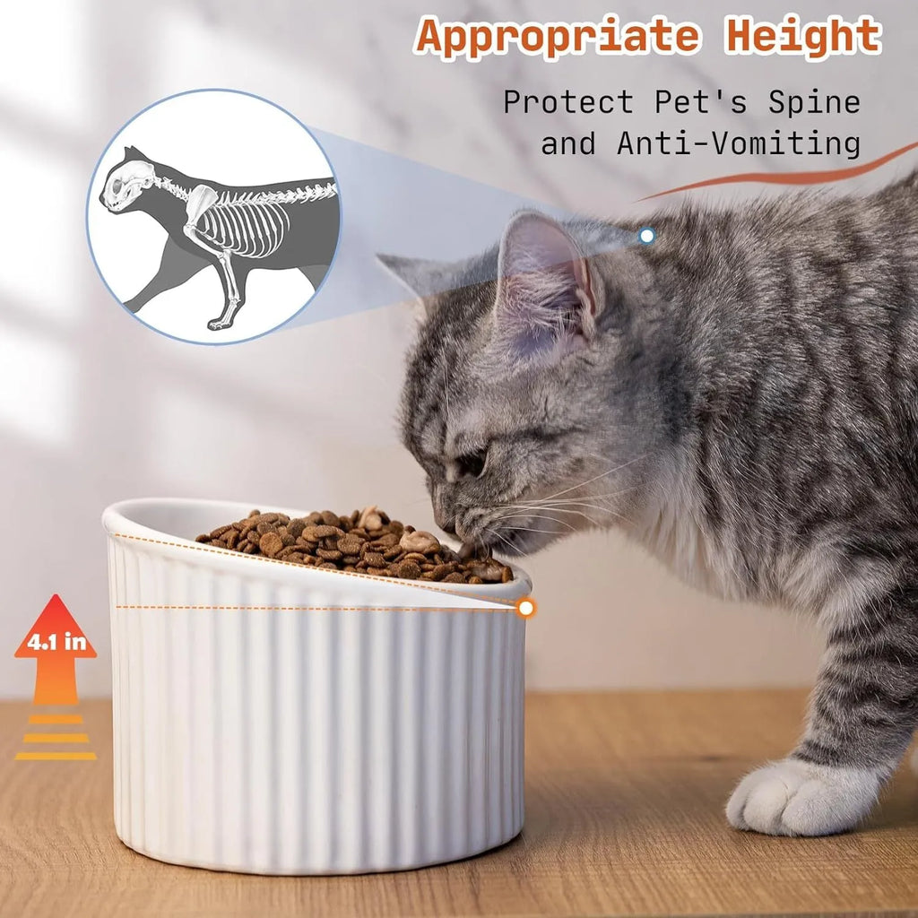 Ceramic elevated cat bowl in green, tilted design for anti-vomit, whisker-friendly feeding.