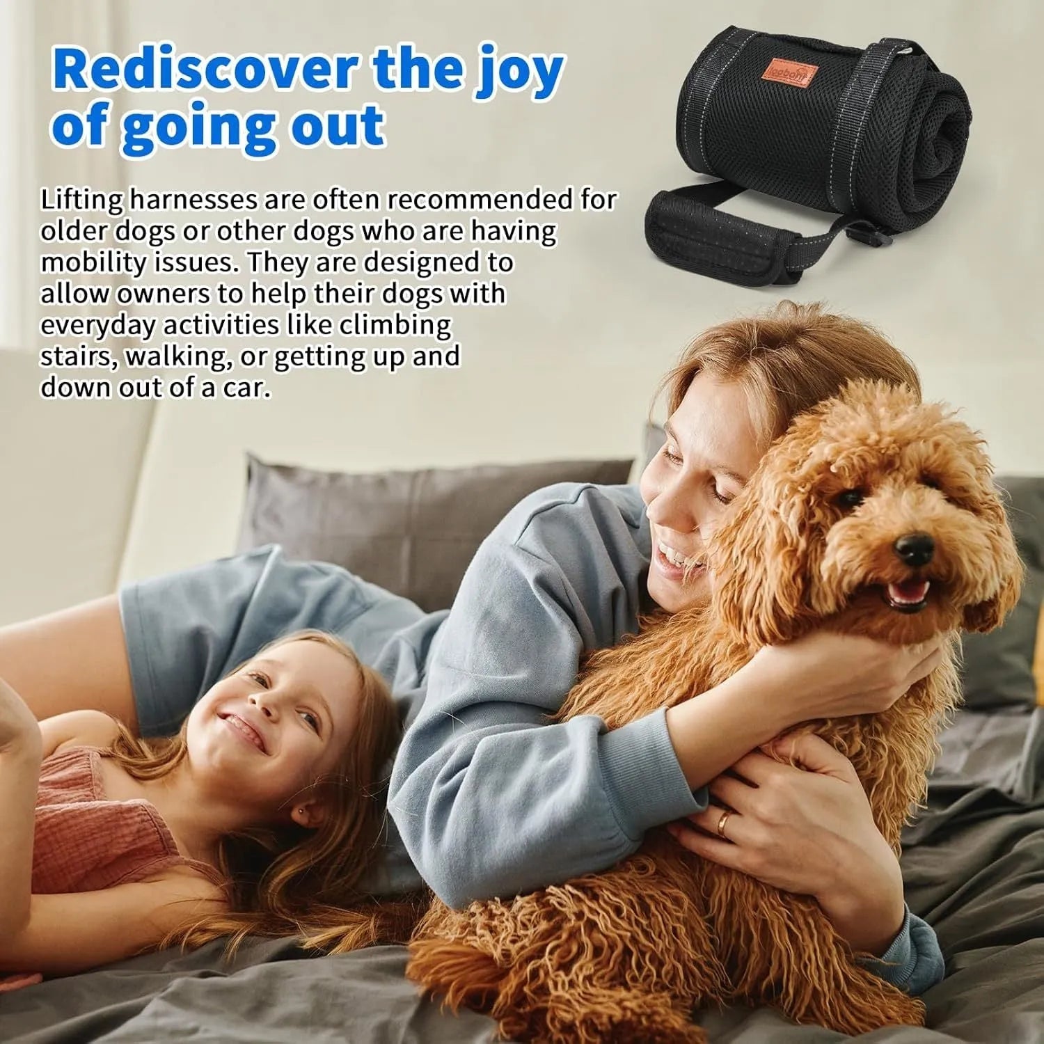 Adjustable dog sling for hind leg support with nylon straps and soft liner