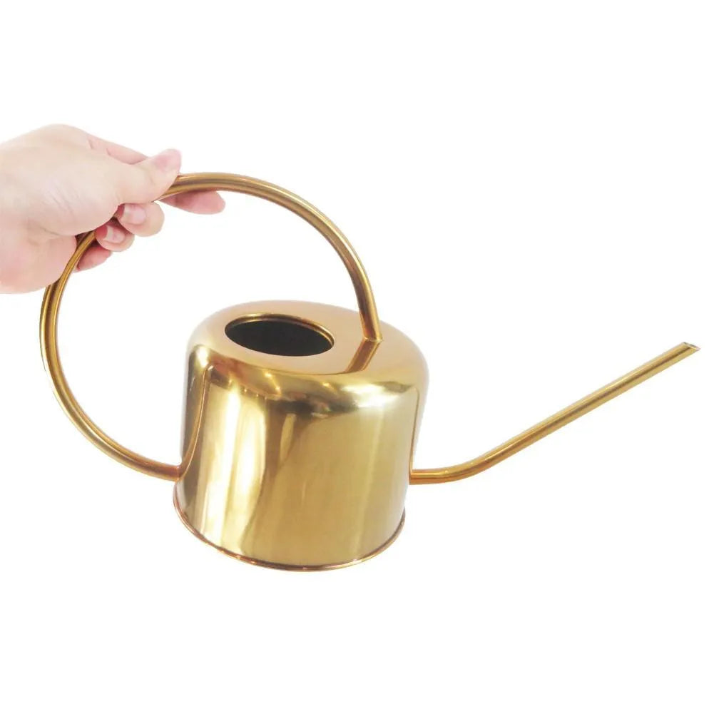 Stainless steel watering can with long spout, 2-litre capacity, shown in black, gold, and silver finishes.