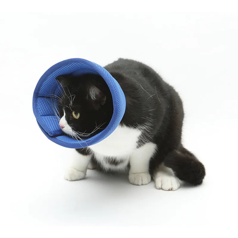 Transparent non-woven fabric pet medical recovery collar for dogs and cats