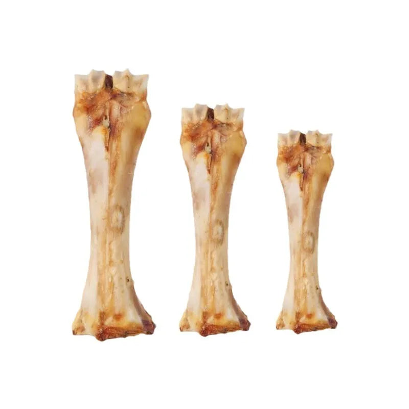Roasted ox bone flavour molar rod chew for puppies in three sizes for teething and dental care