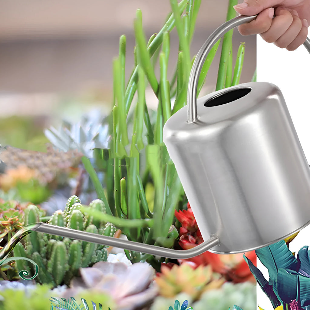Stainless steel watering can with long spout, 2-litre capacity, shown in black, gold, and silver finishes.