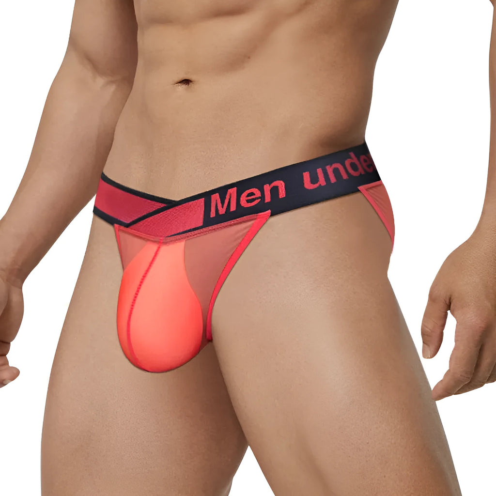 Men's transparent ice silk briefs showing large V gradient high cut design in red colour