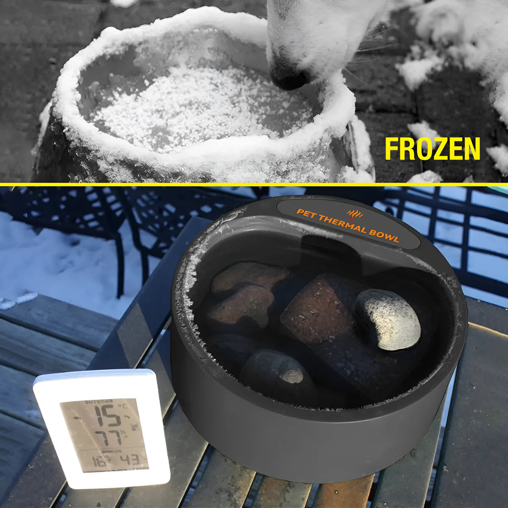 Black ABS plastic pet heating bowl with 2.2 litre capacity and constant temperature control