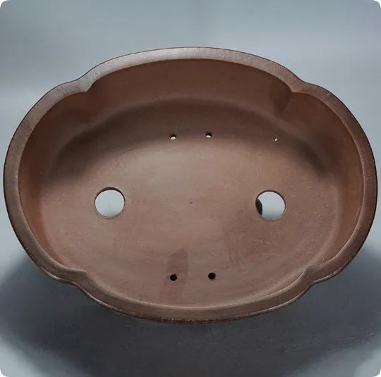 Classical purple clay bonsai pot measuring 50cm wide by 39cm tall