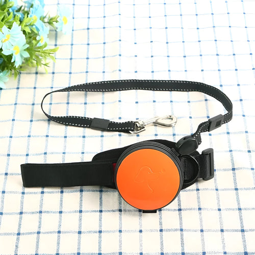 3 metre explosion-proof automatic retractable dog leash with holding hands handle in multiple colours.