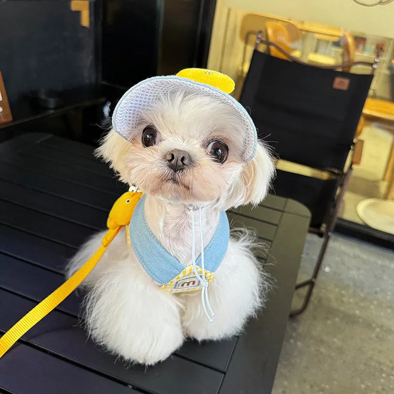 Pet harness and leash set with wire rope pulling toy, cute hat, and cat clothes on a dog and cat.