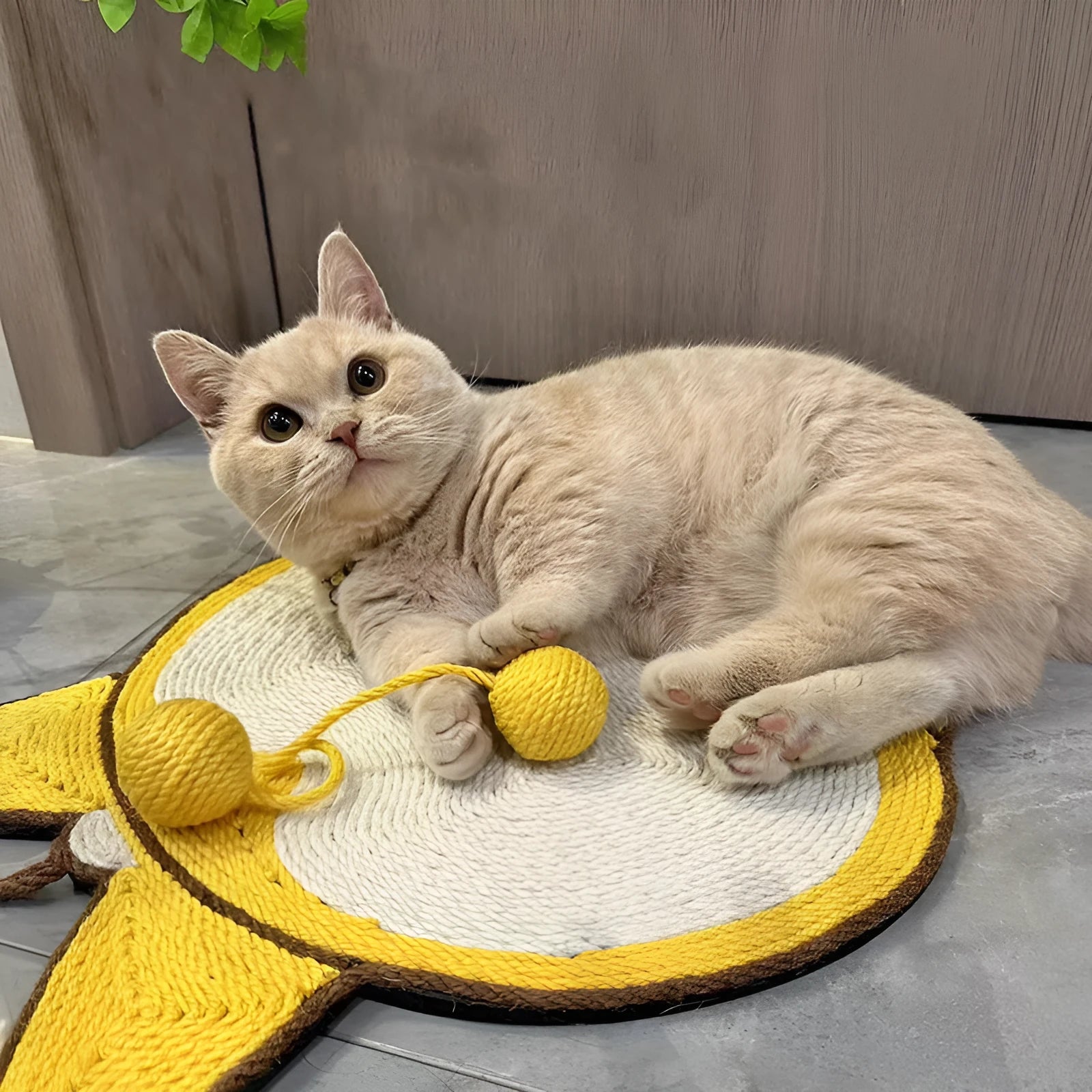 Yellow sisal cat scratching board with corgi design and anti-slip base