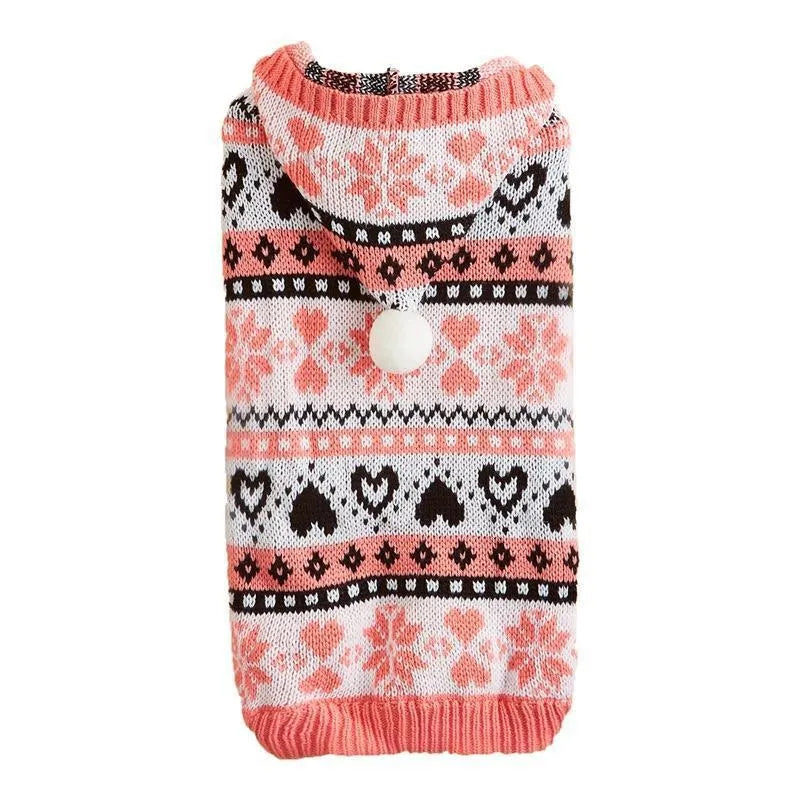 Striped camouflage dog sweater on small Bichon breed in pink colour