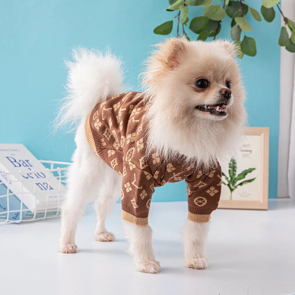 Wool dog sweater in monochrome or two-tone colours for autumn and winter wear