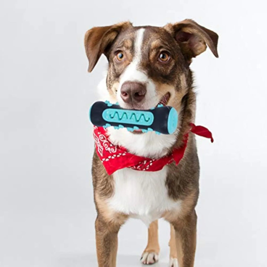 A blue natural rubber dog dental chew toy shaped as a textured stick, measuring 15cm long.