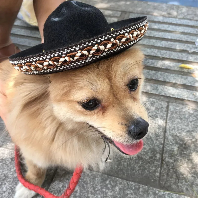 Mexican style cloth pet hat with brown lace 17 cm diameter on small dog