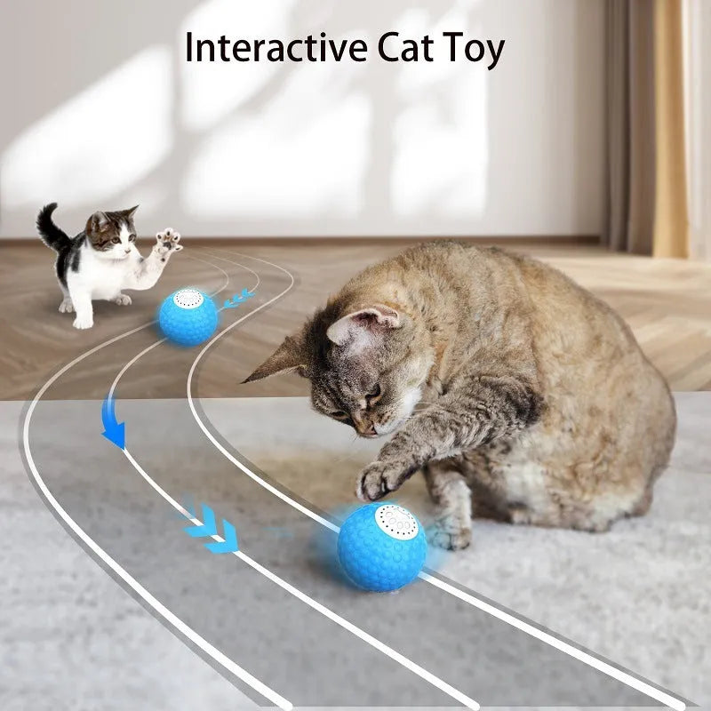 Remote control and a blue smart cat ball toy on a wooden floor.