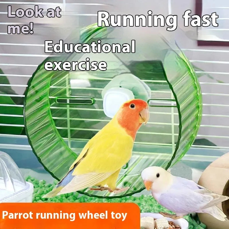A plastic parrot running wheel exercise toy shown in a transparent colour variant.