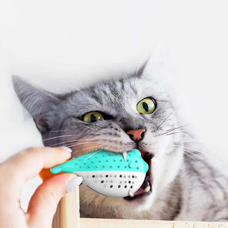 Blue silicone fish-shaped cat chew toy and teaser on a white background.