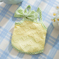 Small dog wearing blue vest with heart texture bow and matching hairband