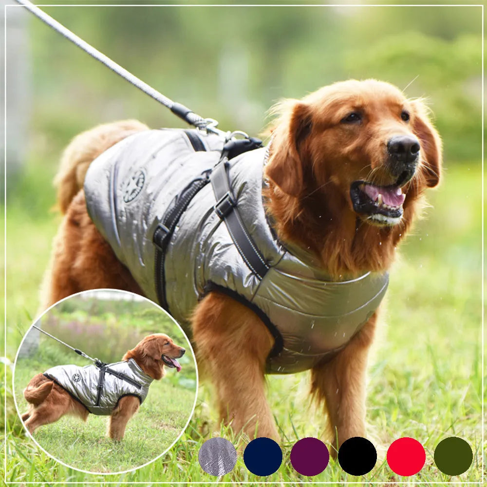 Red waterproof dog coat with harness attachment for a large breed dog in winter.