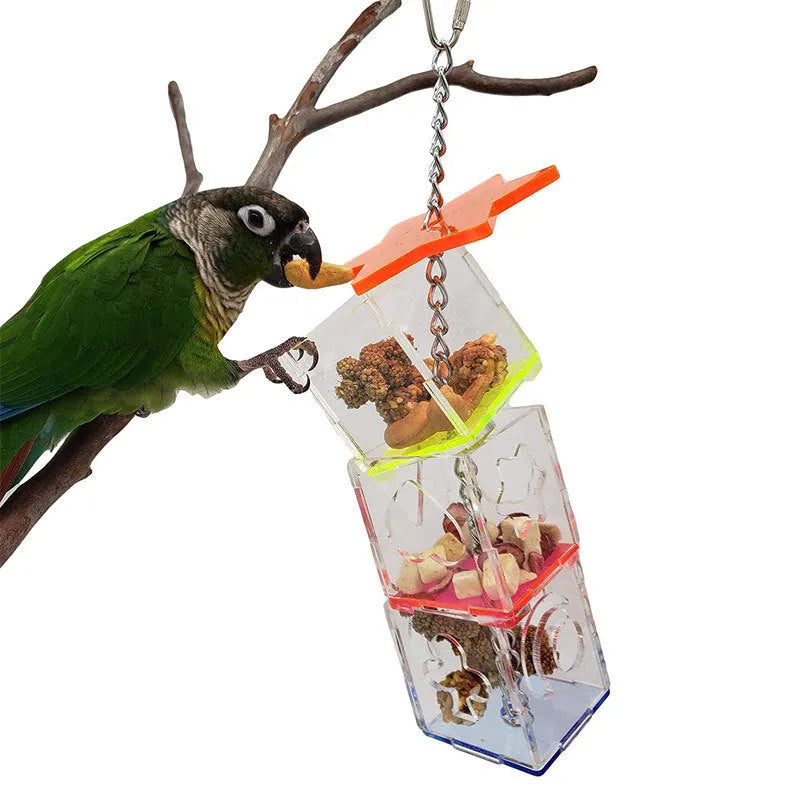 Clear acrylic parrot foraging toy, a long hollow tube for hiding bird food.