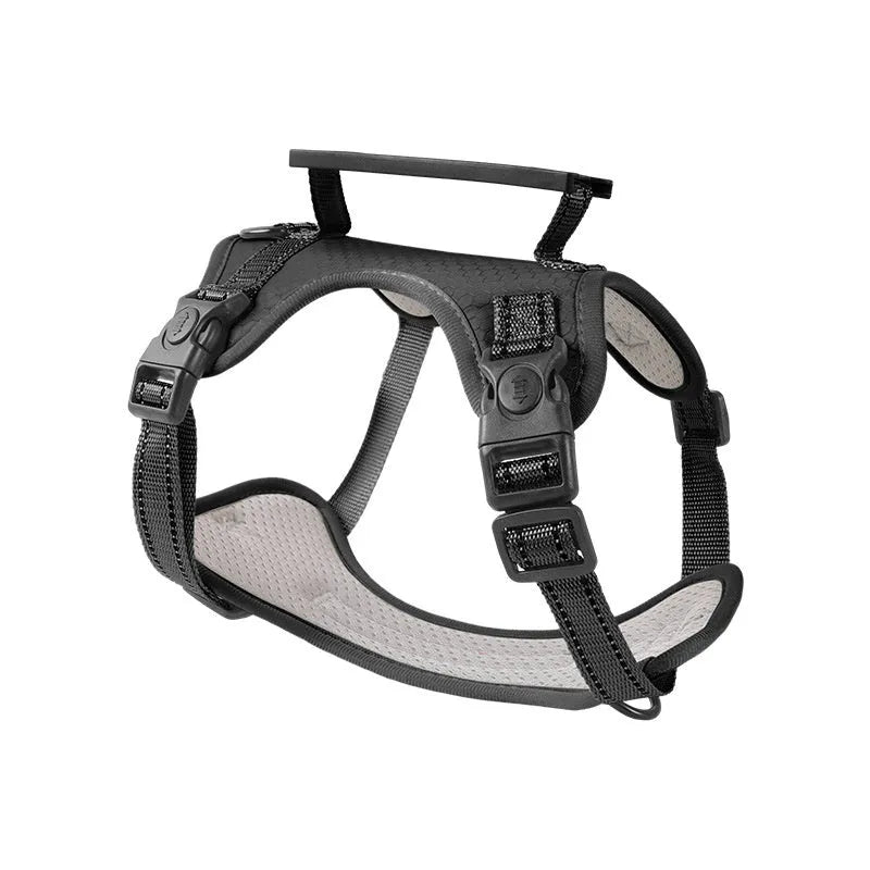 Adjustable polyester dog chest harness and lead in assorted colours on a white background