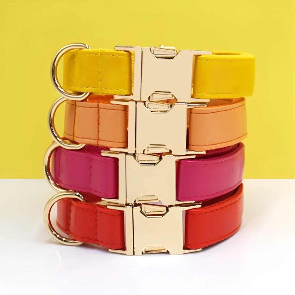 Leather dog collar with velvet colour block in caramel, showing metal buckle and D-ring