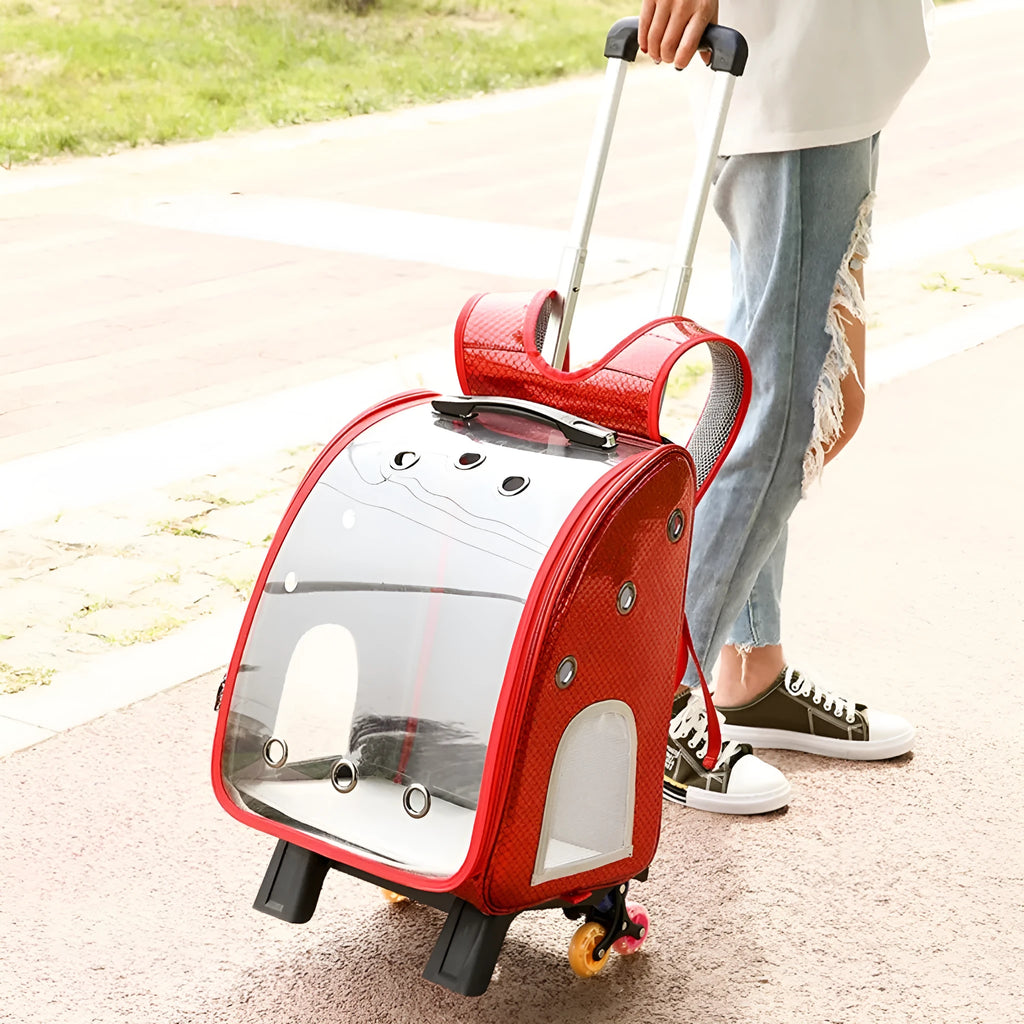 Transparent pet trolley shoulder bag with folding design for small dogs and cats