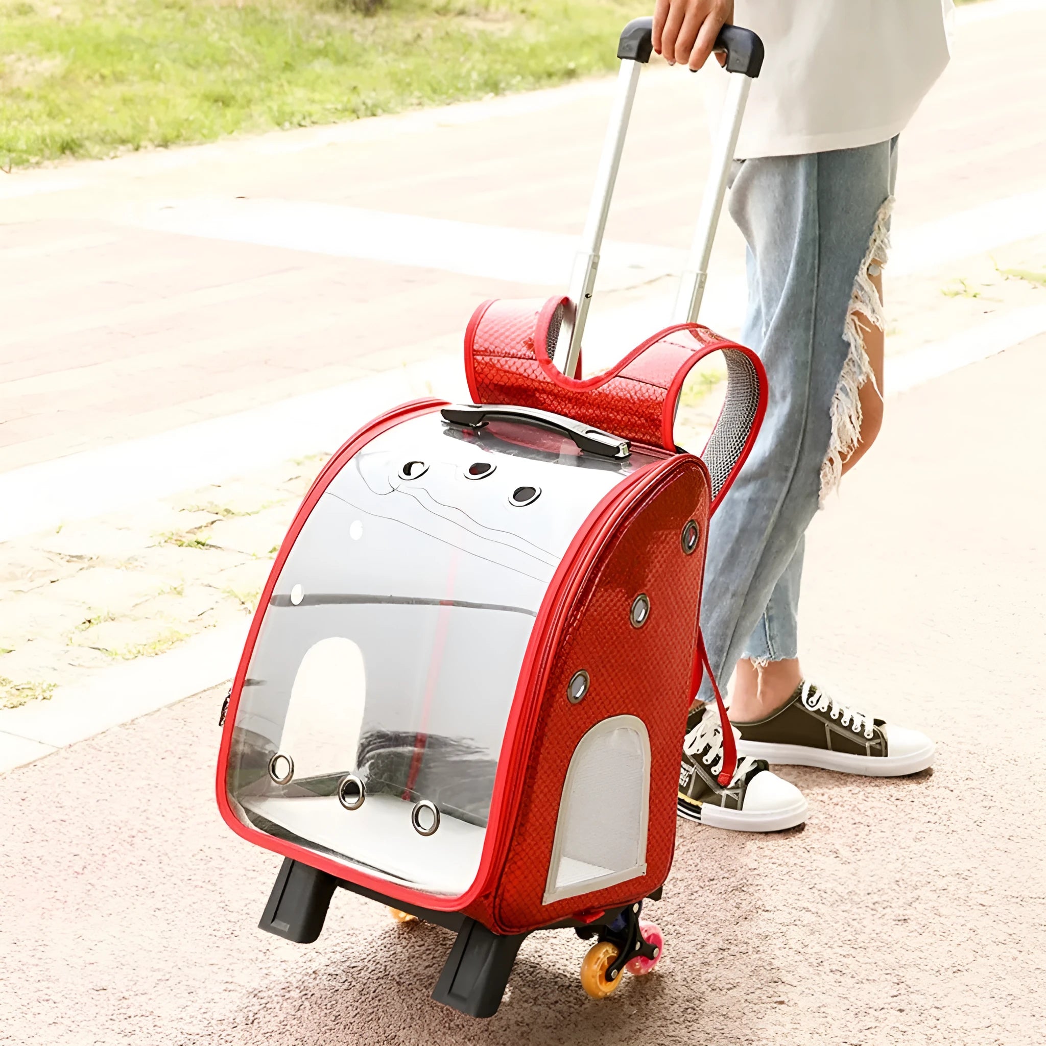 Transparent pet trolley shoulder bag with folding design for small dogs and cats